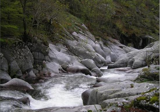la dourbie