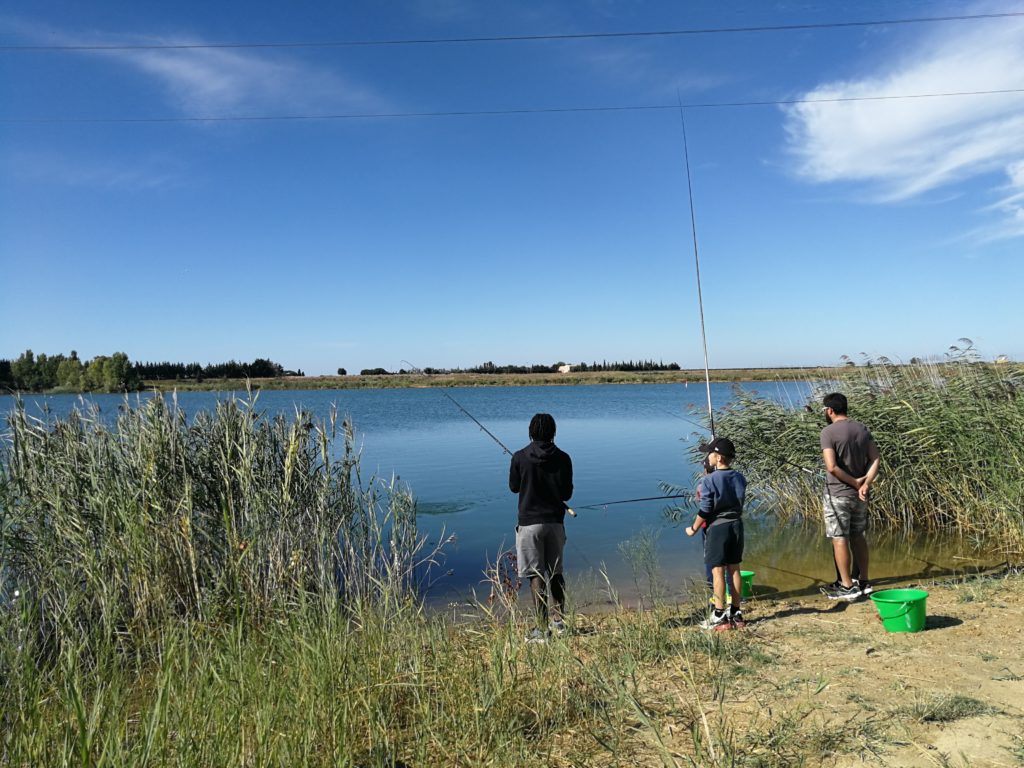 Pêche sur les plans d'eau de Vergèze