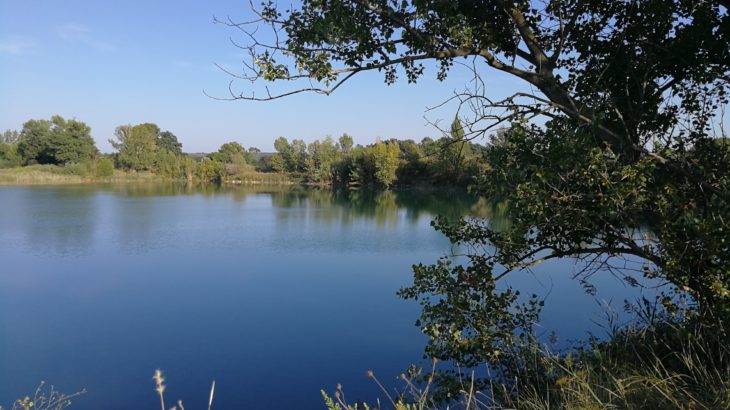 Pêche sur les étangs de Vergèze