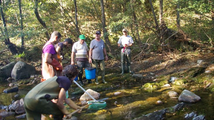 Pêche électrique sur la Cèze dans le Gard