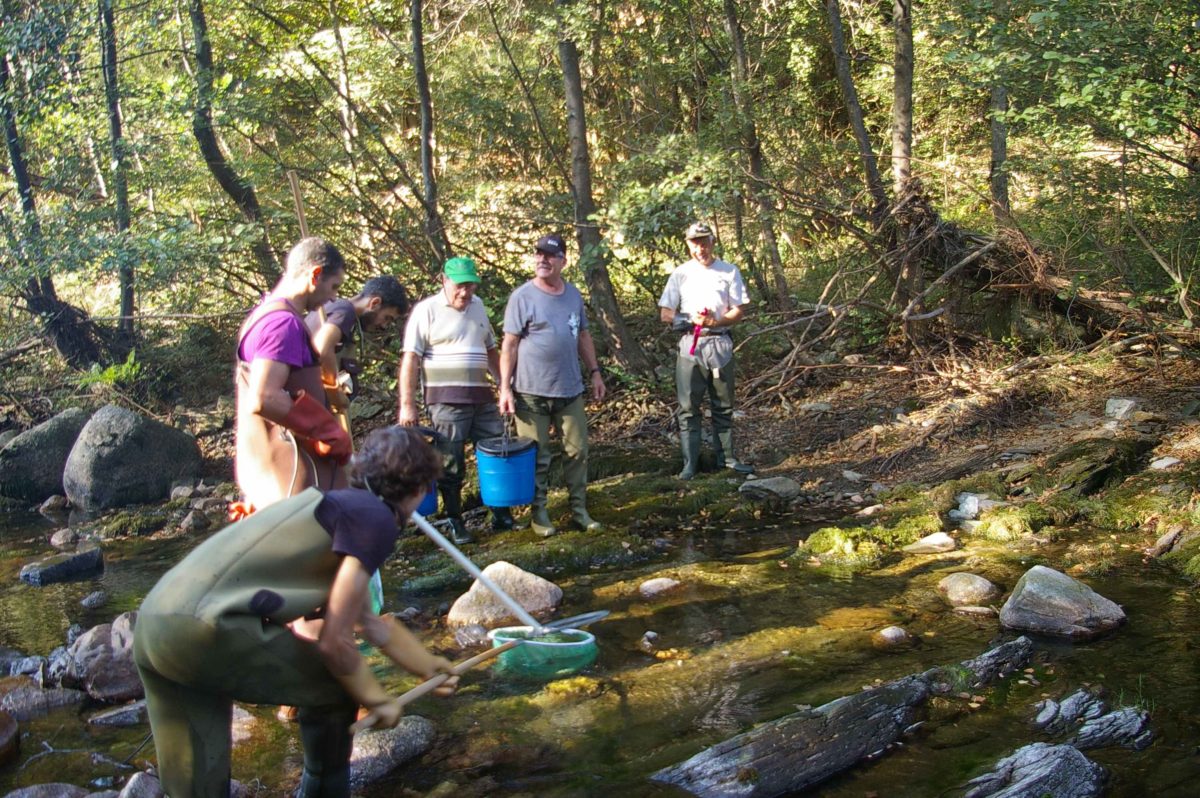 P&ecirc;che &eacute;lectrique sur la C&egrave;ze dans le Gard