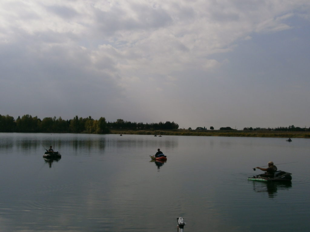 Pêche dans le Gard au float-tube sur les étangs de Vergèze