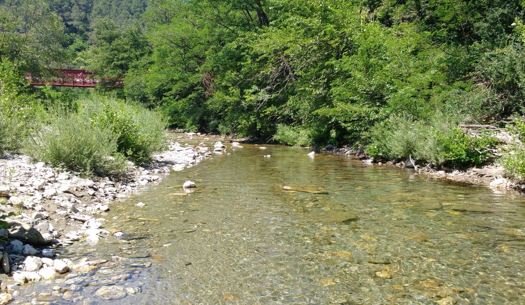 Suivi de la température des cours d’eau du Gard Fédération de Pêche