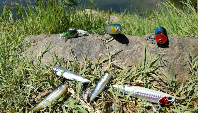 leurres de surface pour pêche estivale