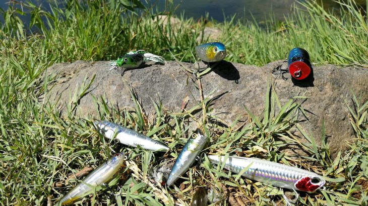 leurres de surface pour pêche estivale