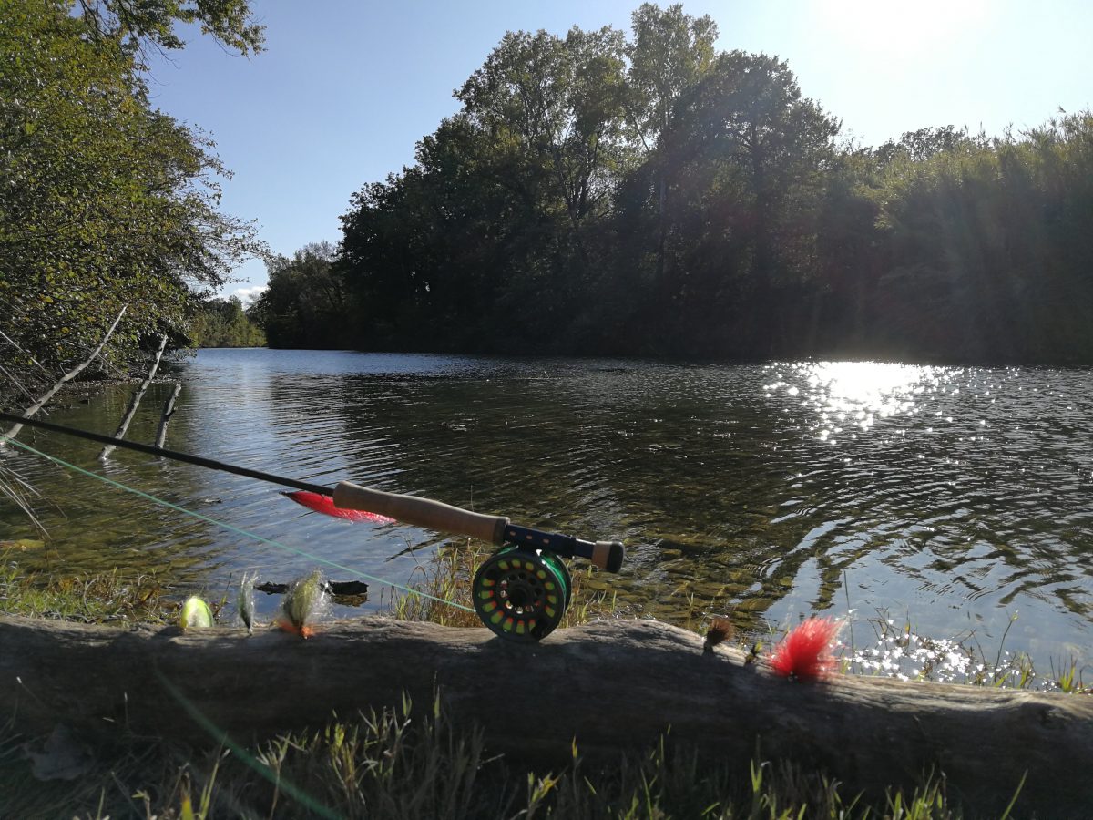 Pêche du carnassier à la mouche dans le Gard