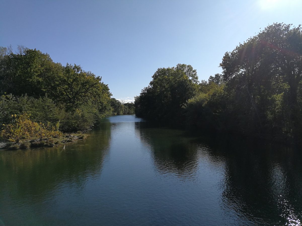 Pêche de la carpe sur le Vidourle dans le Gard