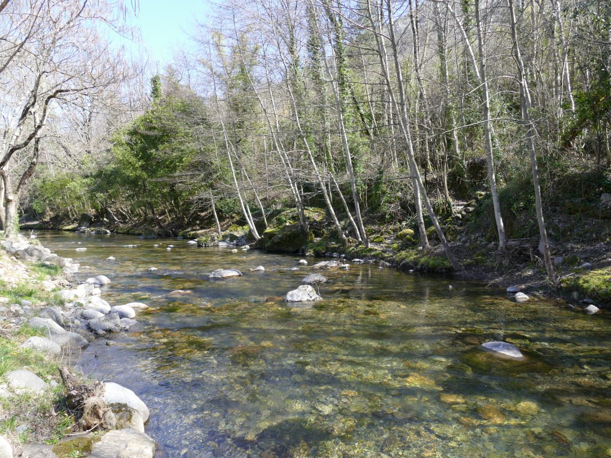 Repérages au bord de l'eau avant l'ouverture