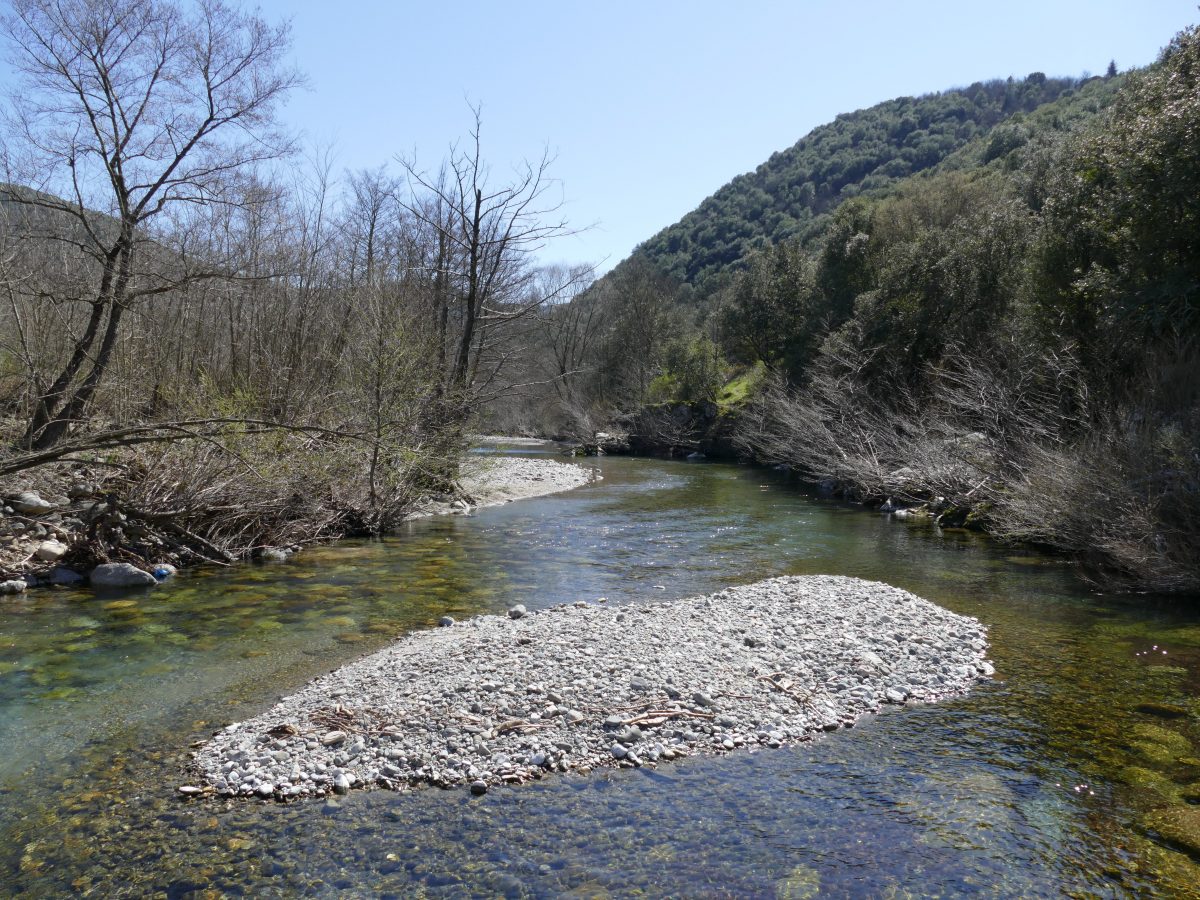 Pêcher la truite dans les Cévennes sur l'Hérault