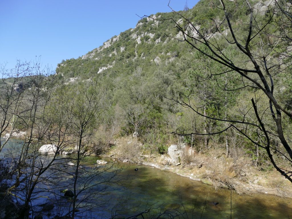 Pêcher la truite dans les Cévennes sur la Vis