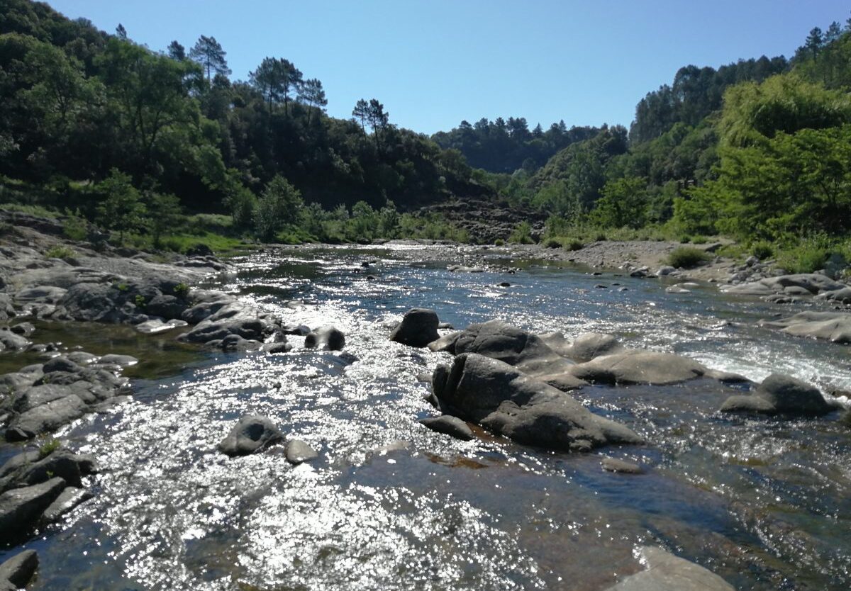Pêcher la truite dans les Cévennes sur le Gardon