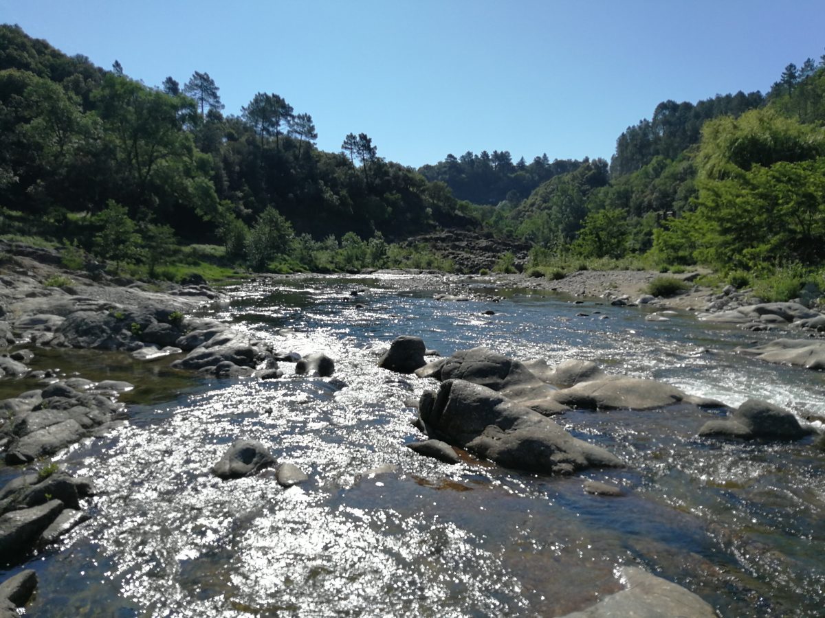 Pêcher la truite dans les Cévennes sur le Gardon