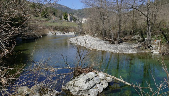 Pêche rapide de la carpe en rivière - Fédération de Pêche du Gard