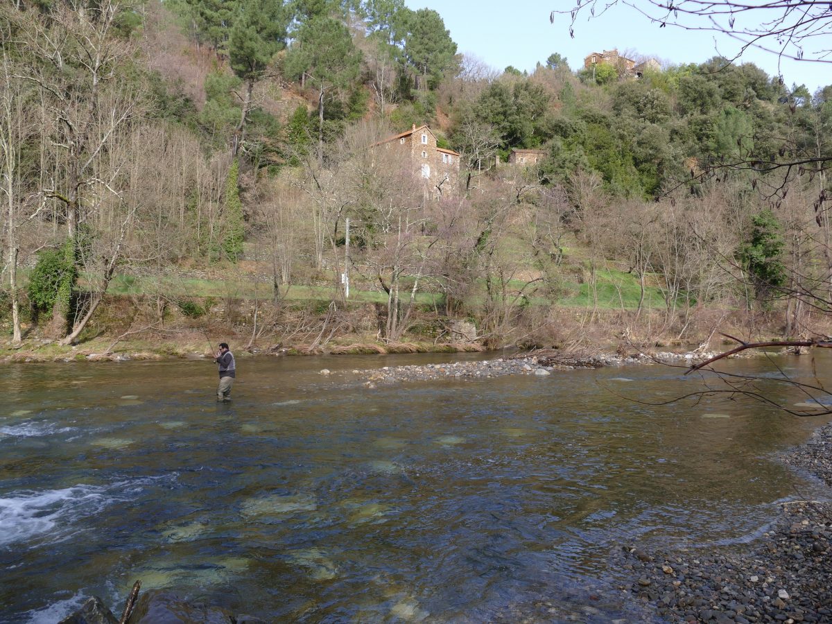 Pêcher la truite dans les Cévennes sur la Cèze