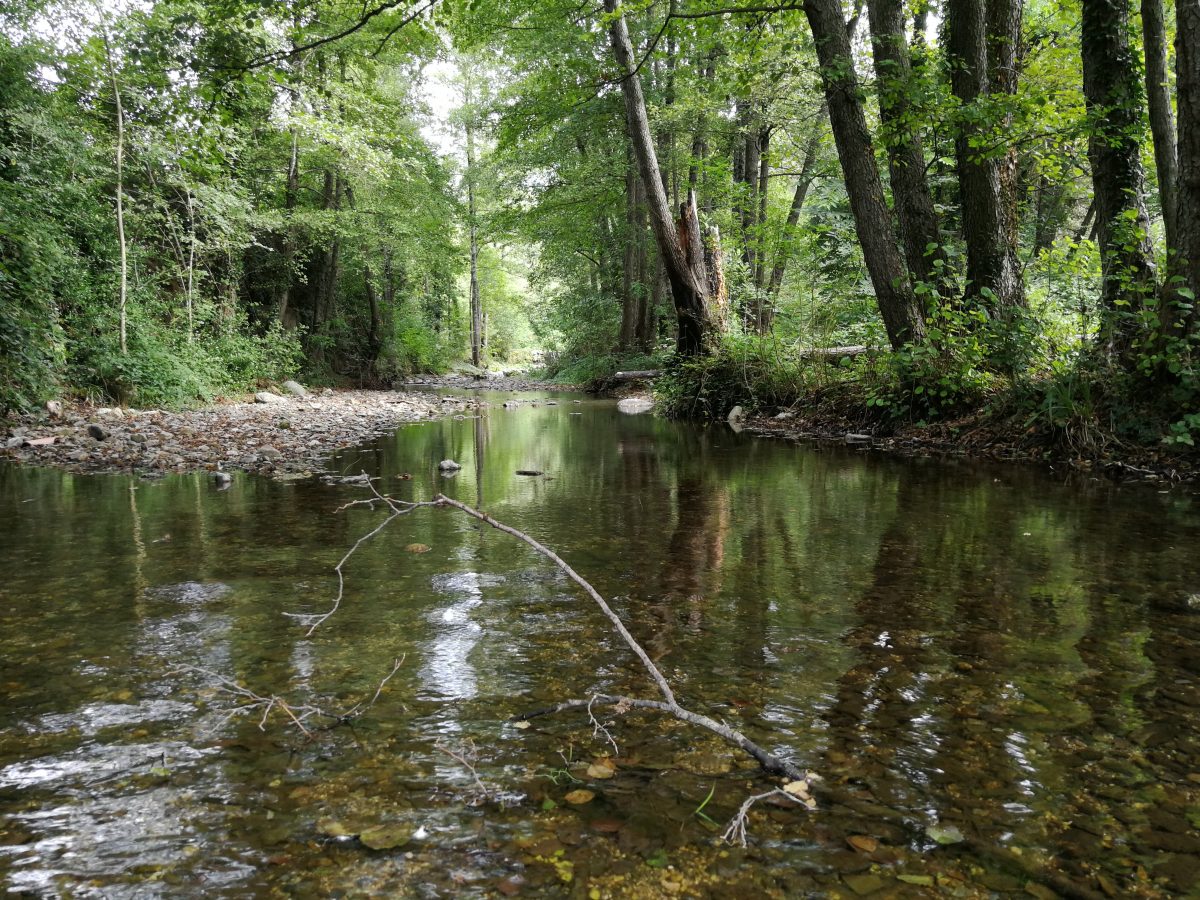 Pêcher la truite dans les Cévennes sur le Vidourle