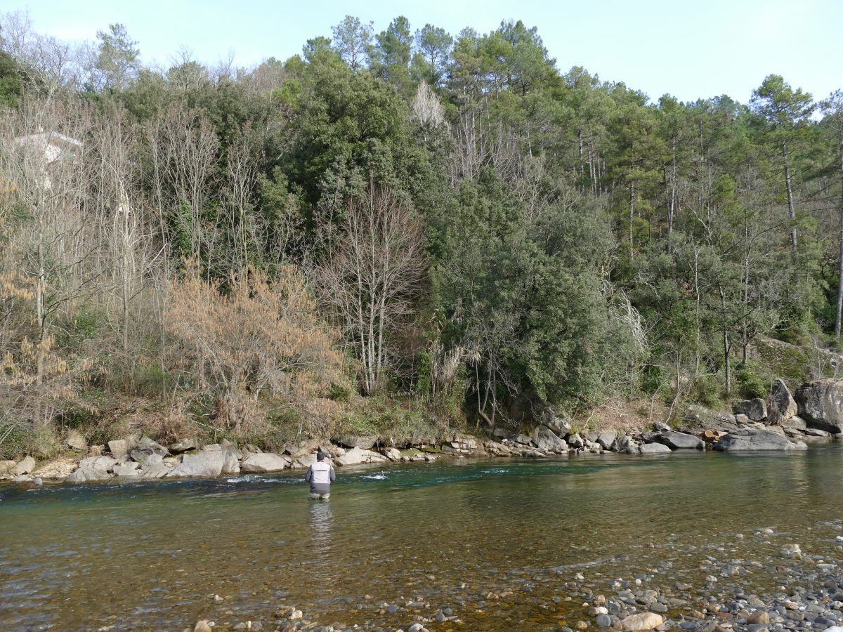 Pêche en nymphe au toc pour l'ouverture dans le Gard