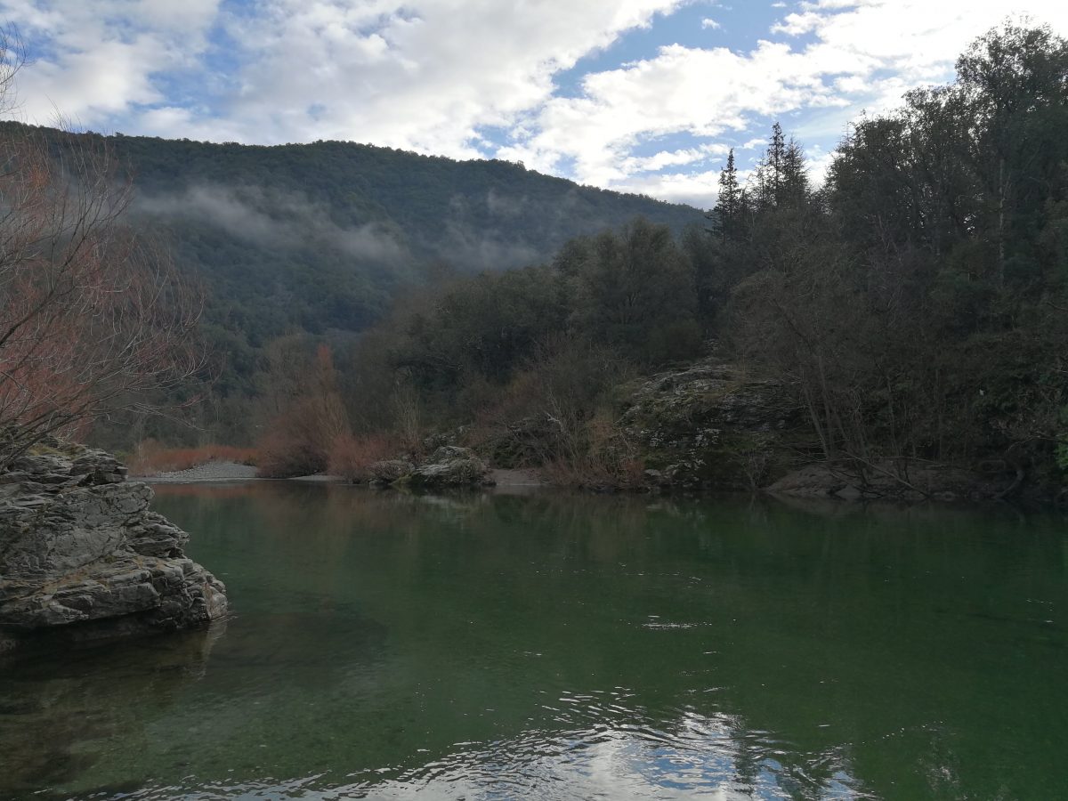 Pêcher la truite dans les Cévennes sur l'Hérault