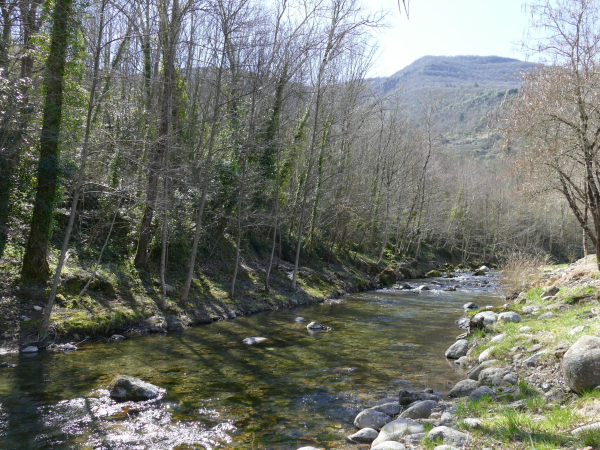 Pêcher la truite dans les Cévennes sur l'Arre