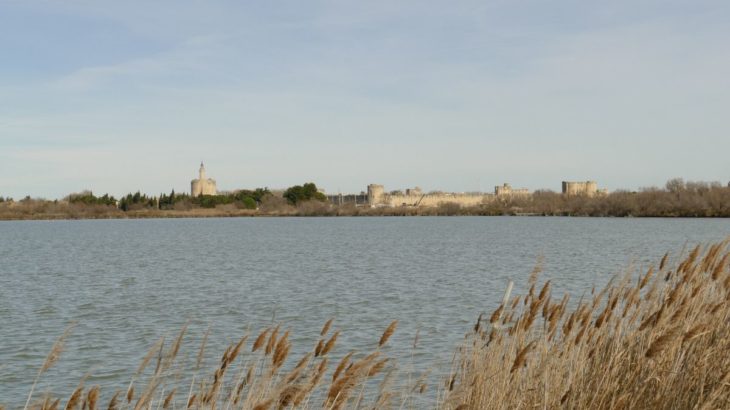 Pêchhe en Camargue gardoise