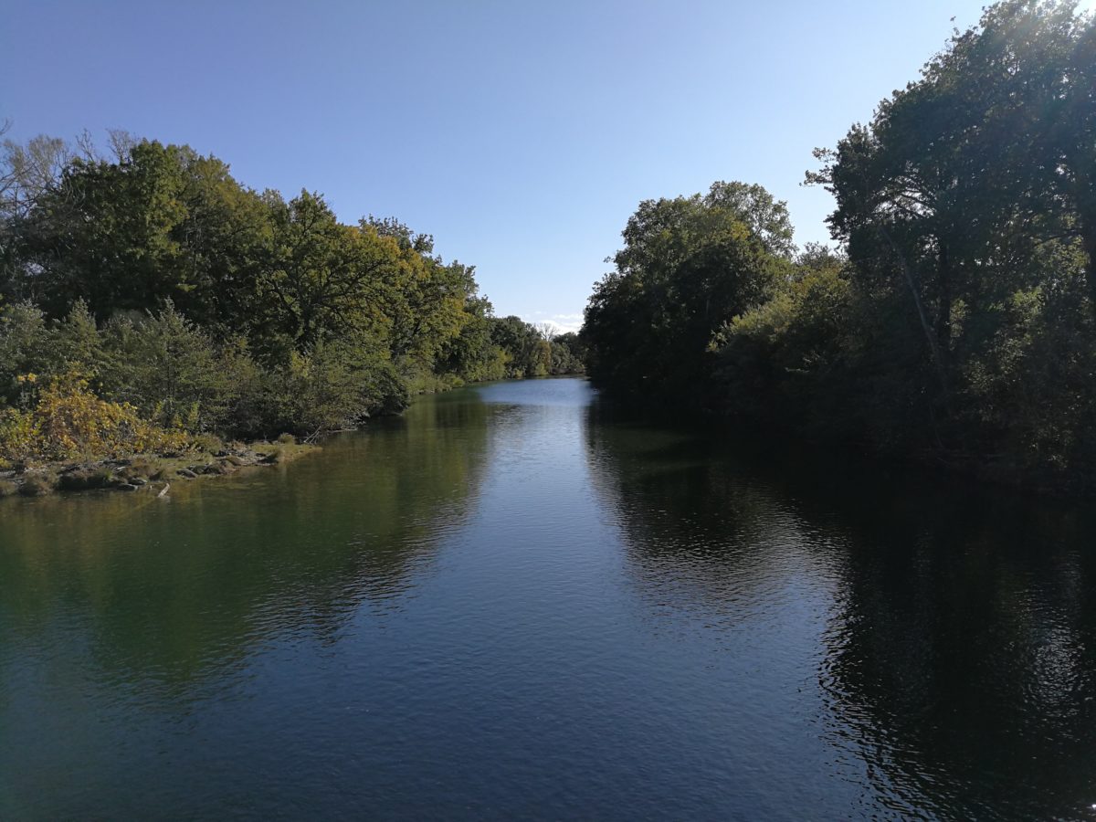 Pêcher le carnassier sur le Vidourle vers Aubais, dans le Gard