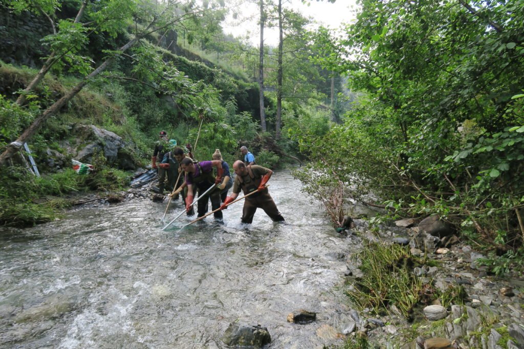 P&ecirc;che &eacute;lectrique effectu&eacute;e par les services techniques de la F&eacute;d&eacute;ration &agrave; Valleraugue