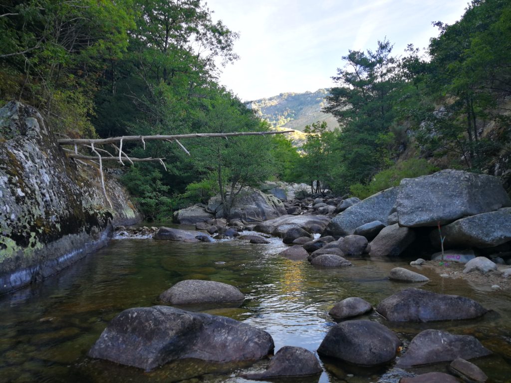 Pêche de la truite sur la Dourbie