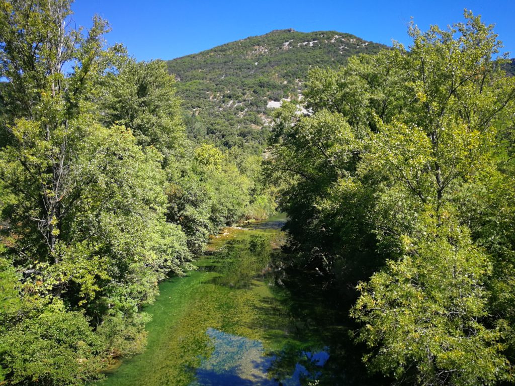 Pêche de la truite sur la Vis dans le Gard