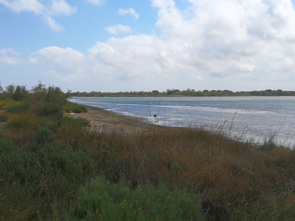 Pêche sur l'étang du Ponant dans le Gard