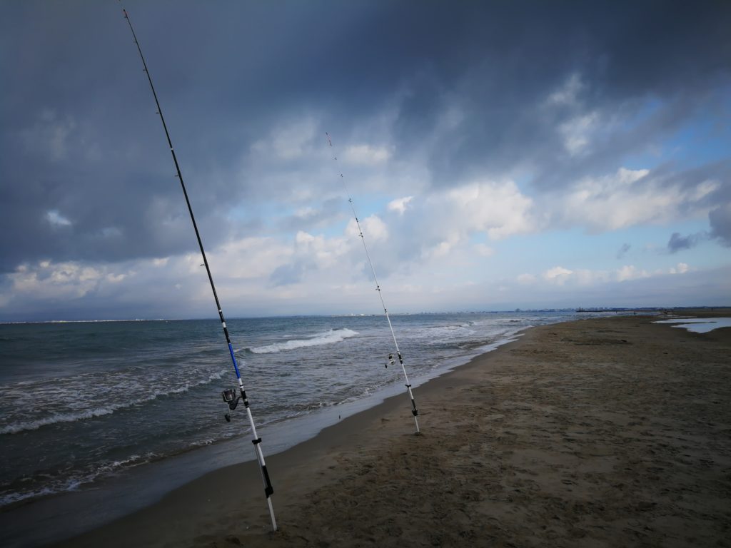 Pêche en surfcasting sur les plages du Gard