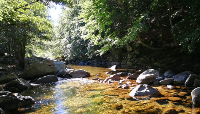 Pêche de la truite sur la Dourbie dans le Gard