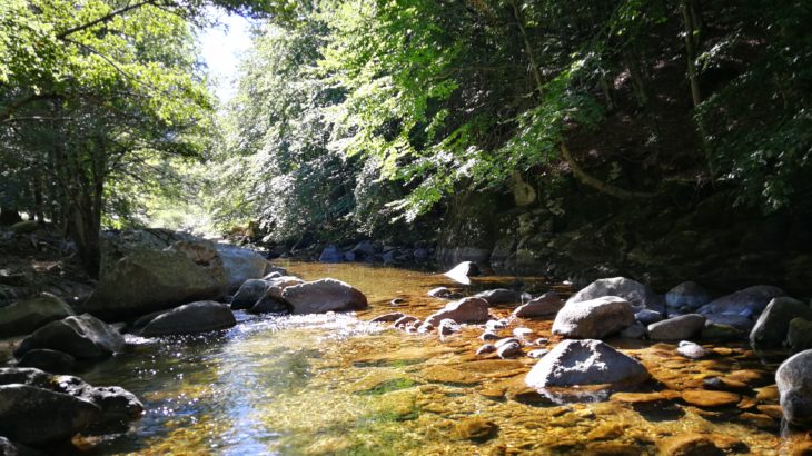 Pêche de la truite sur la Dourbie dans le Gard