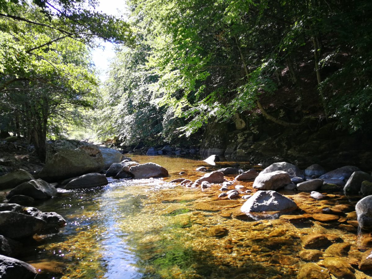 Pêche de la truite sur la Dourbie dans le Gard