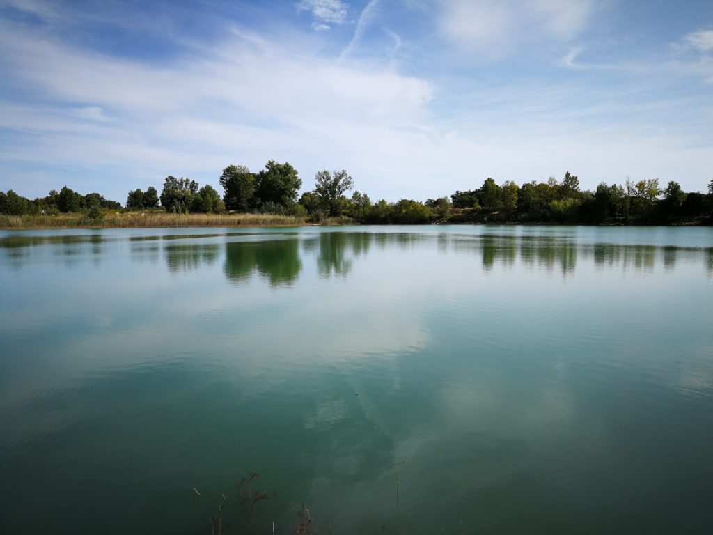 Pêche sur les étangs de Vergèze