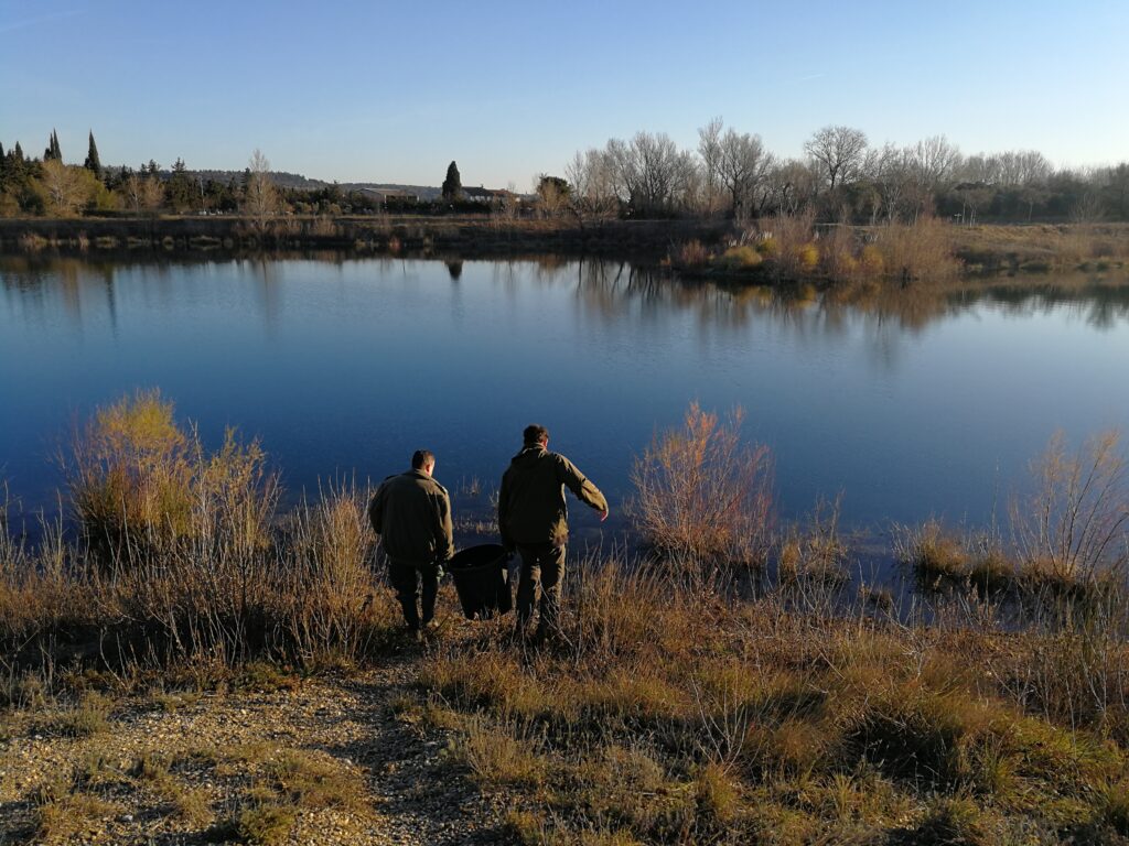 Lâcher de poissons sur le lac de Sautebraut