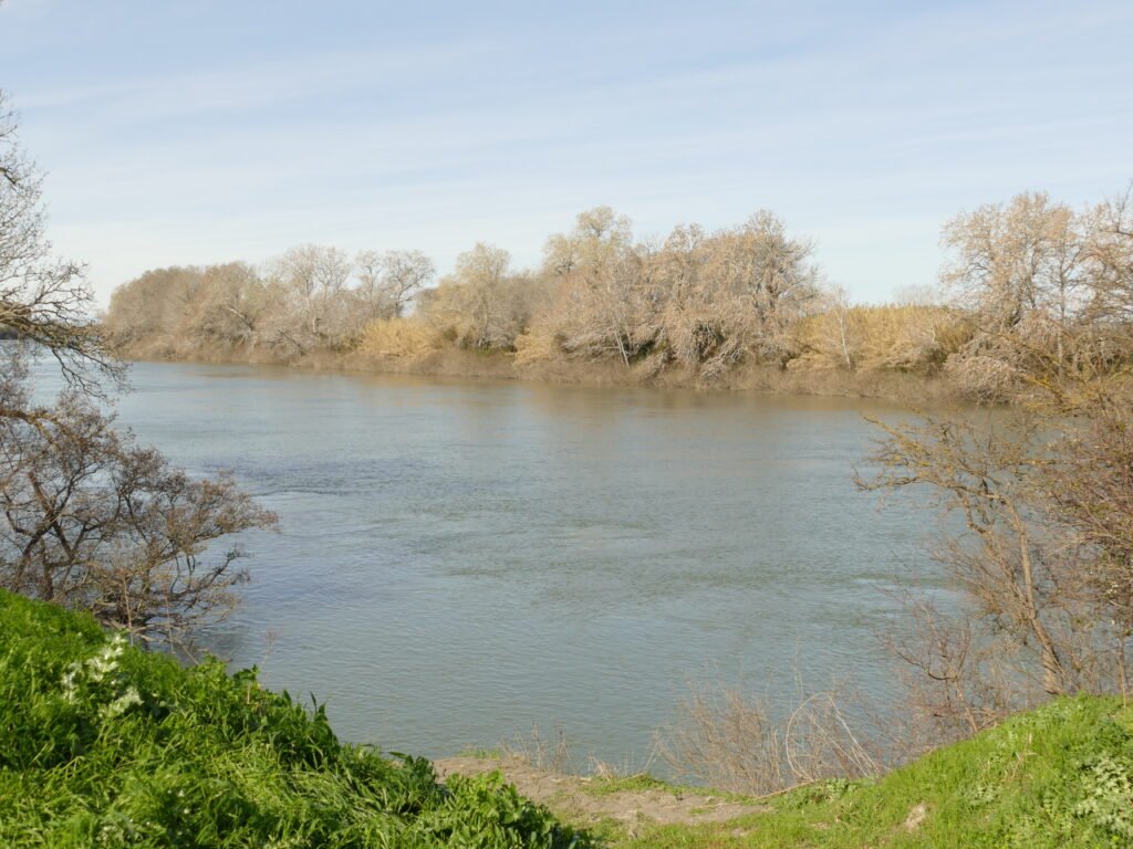 Recherche du carnassier sur le Petit Rhône