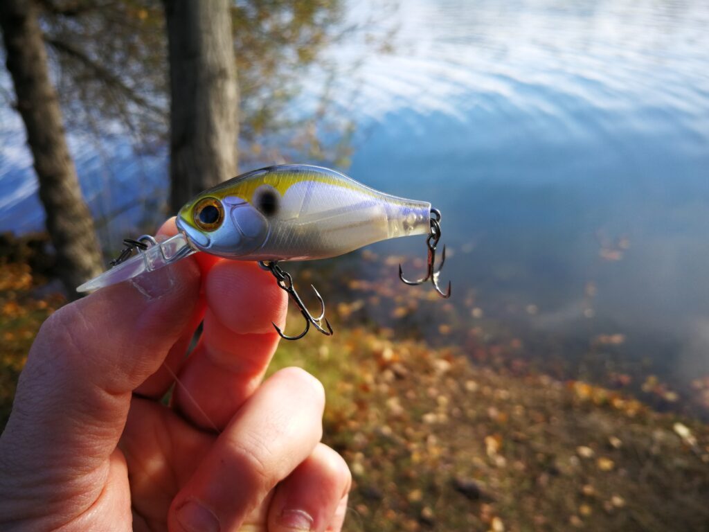 Pêche au crankbait