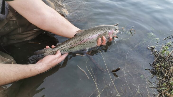 L'équipement optimal pour la pêche à la truite arc-en-ciel