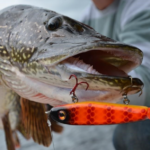 Ouverture de la P&ecirc;che du Brochet et du Sandre