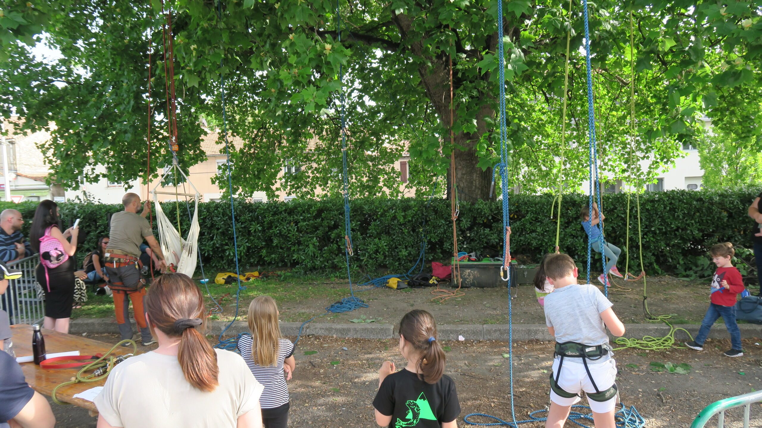 salon 2025_accrobranche